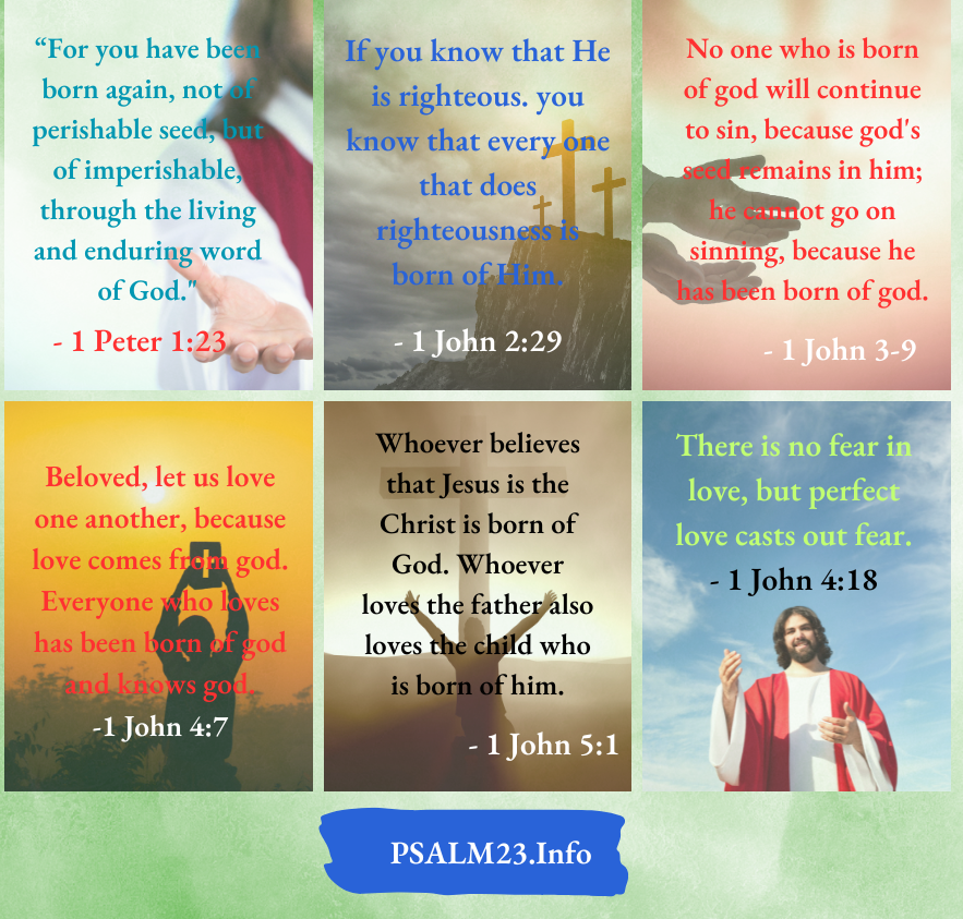 Apostle Peter speaks of believers as being born again