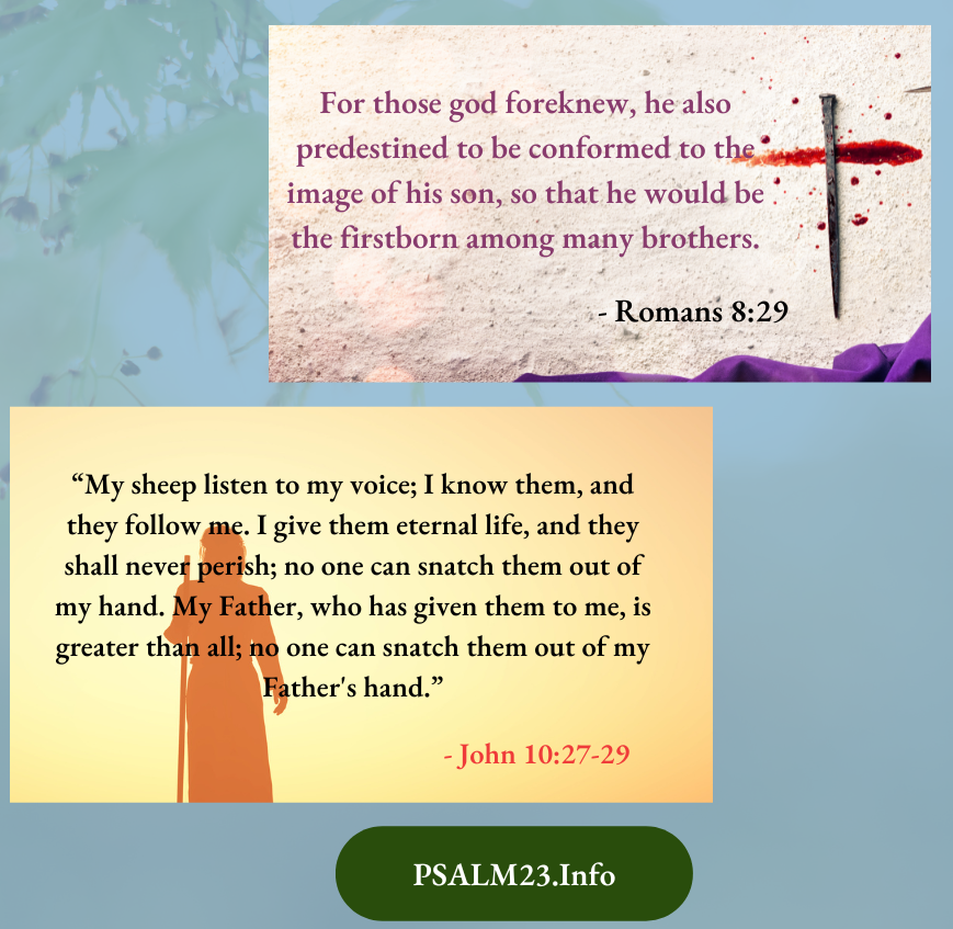 He also predestined to be conformed to the image of his son, so that he would be the firstborn among many brothers