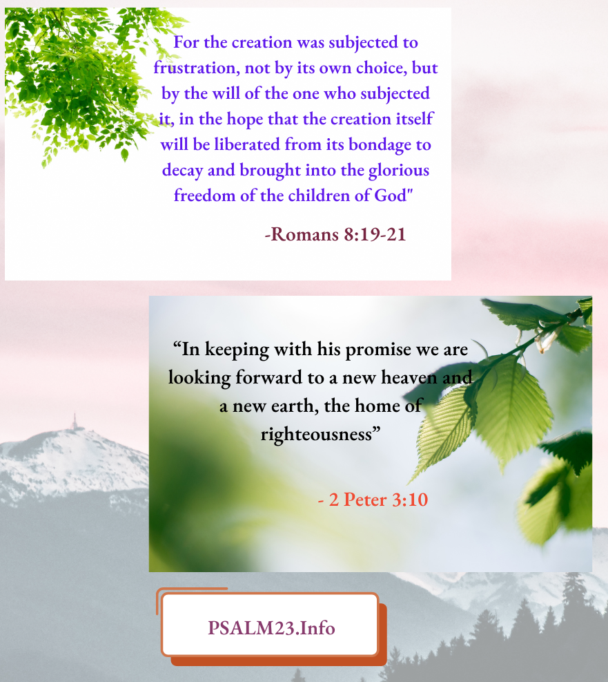 In keeping with his promise we are looking forward to a new heaven and a new earth, the home of righteousness