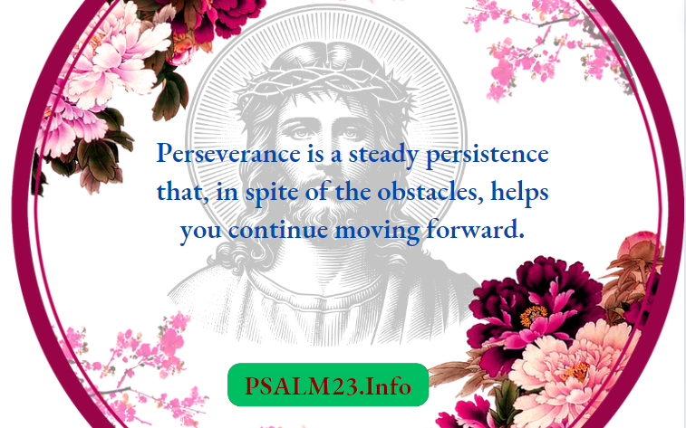 Perseverance Helps You Soar To New Heights