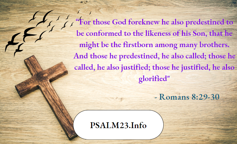 Romans 8-29-30